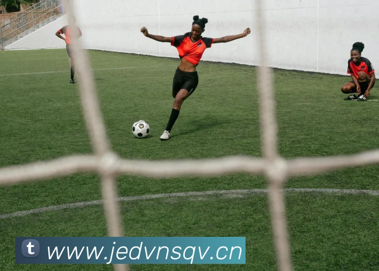 星空体育登录网页APP 封面图